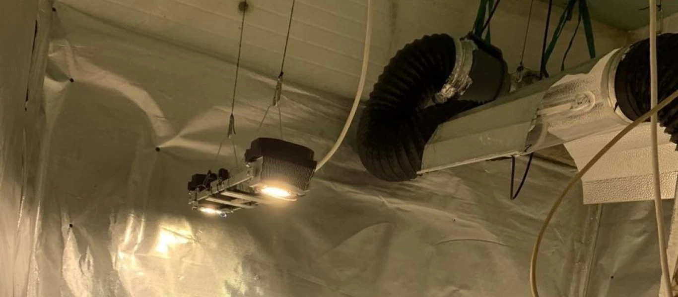 Ιωάννινα: Καλλιεργούσε σε φυτώριο κάνναβη